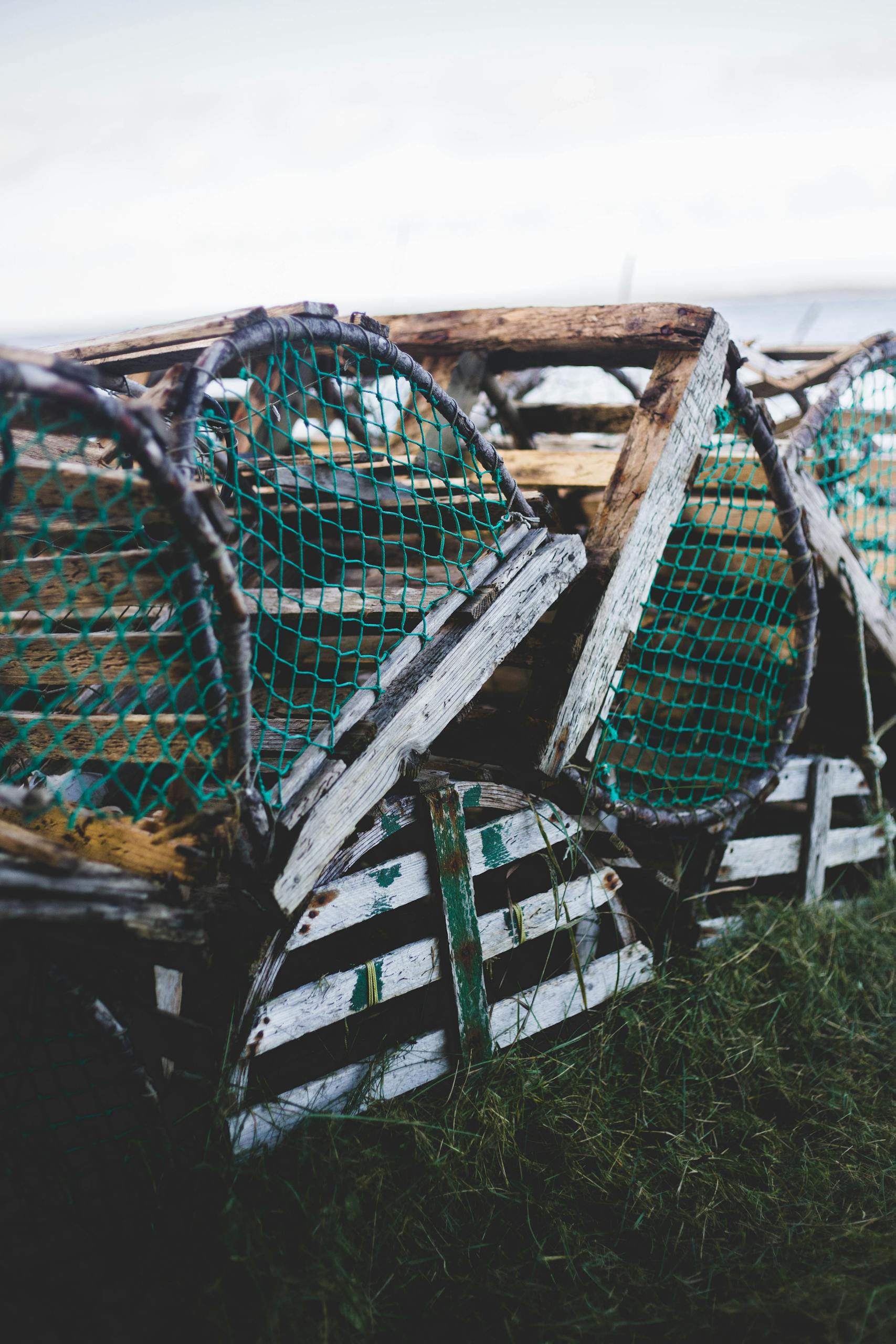 Vintage wooden fish traps with green netting, showcasing traditional fishing tools on a grassy shore.